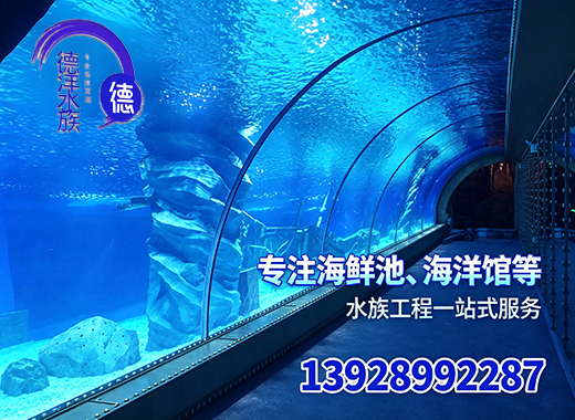 德洋六安线上分站